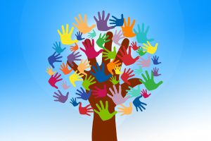 ¿Quiénes somos en Afibrom?